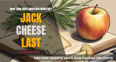 Unopened Monterey Jack Cheese: How Long Does it Last?