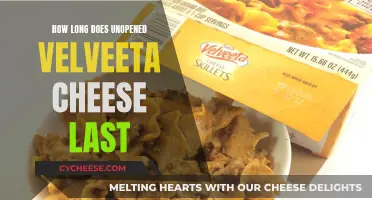 The Ultimate Velveeta Cheese Longevity Guide