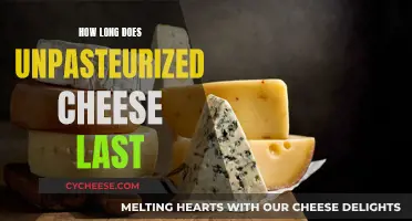 Unpasteurized Cheese: How Long Does It Stay Fresh?