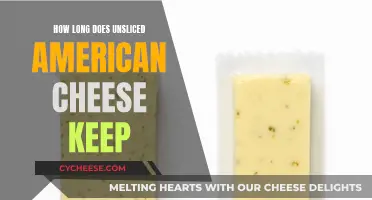 Unsliced American Cheese: How Long Does It Last?