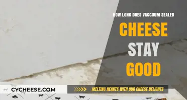 Vacuum-Sealed Cheese: How Long Does It Stay Fresh?