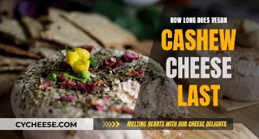 Vegan Cashew Cheese: How Long Does It Last?