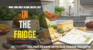 Vegan Cheese: How Long Does It Last?