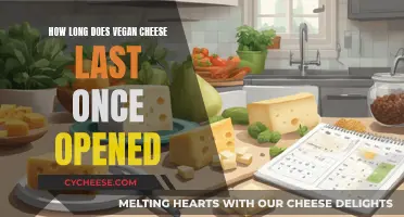 Vegan Cheese: How Long Does it Last Once Opened?