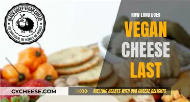 Vegan Cheese: How Long Does It Last?