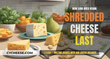 Vegan Shredded Cheese: How Long Does It Last?