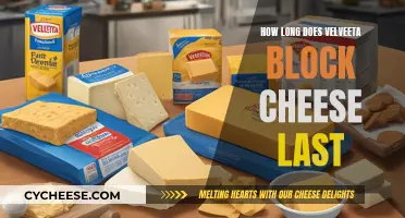 Velveeta Block Cheese: How Long Does It Last?