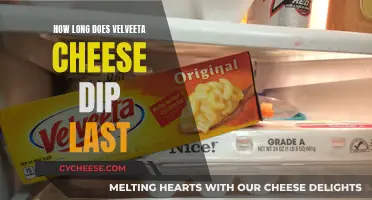 Velveeta Cheese Dip: How Long Does it Really Last?