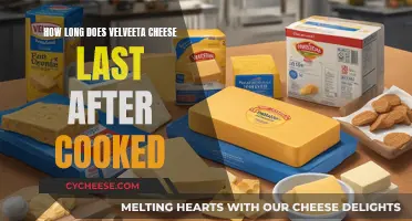 The Longevity of Cooked Velveeta Cheese