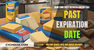 Velveeta Cheese: How Long Does it Really Last?