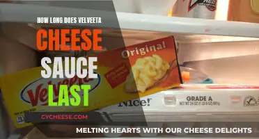 Velveeta Cheese Sauce: How Long Does it Really Last?