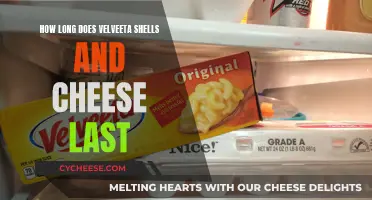 Velveeta Shells and Cheese: How Long Does It Last?