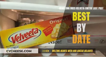 The Ultimate Velveeta Cheese Expiry Guide