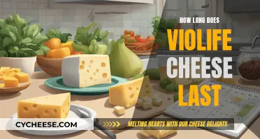 Violife Cheese: How Long Does It Last?