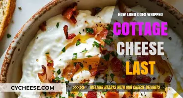 Whipped Cottage Cheese Shelf Life: Storage Tips and Freshness Guide