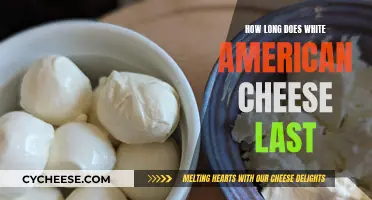 The Longevity of White American Cheese Explained