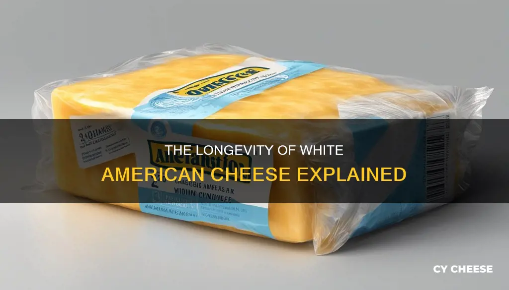 how long does white american cheese last