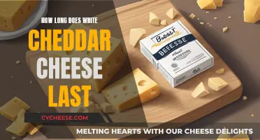 The Longevity of White Cheddar Cheese: How Long Does it Last?