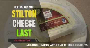 The Longevity of White Stilton Cheese: How Long Does it Last?