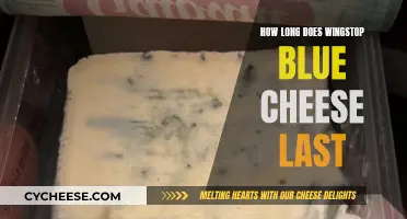 Wingstop Blue Cheese: How Long Does Freshness Last?