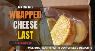 Cheese Storage: How Long Does Wrapped Cheese Stay Fresh?