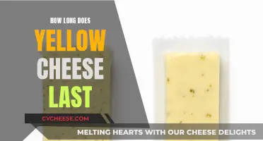 Cheese Longevity: How Long Does Yellow Cheese Last?