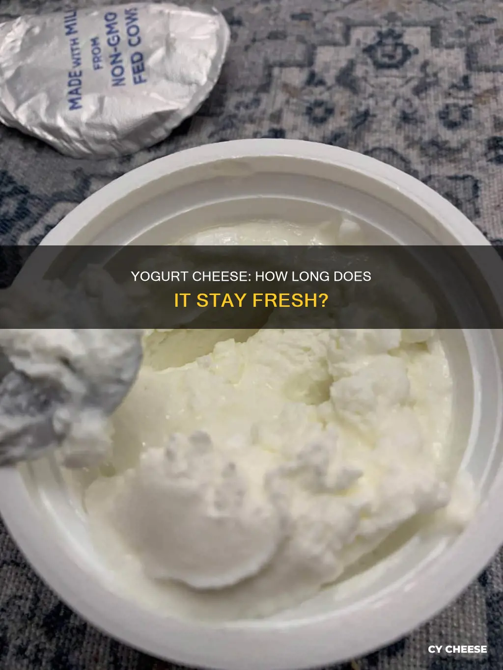 how long does yogurt cheese last outside a freezer