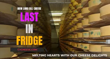 Cheese Lifespan in Fridge: How Long Does it Last?