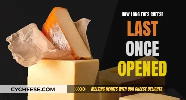 Cheese Lifespan: How Long Does it Last Once Opened?