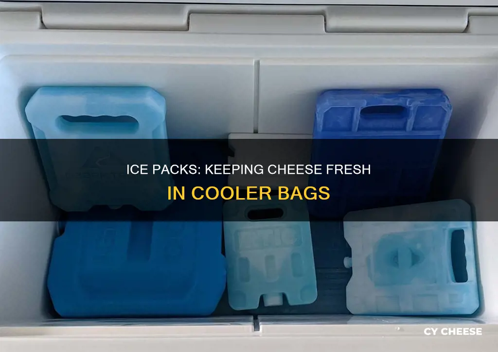 how long foes ice pack keep cheese in cooler bag