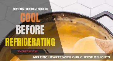 Cheese Sauce Storage: Refrigeration and Cooling Time