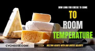 Cheese and Temperature: How Long to Reach Room Temp?