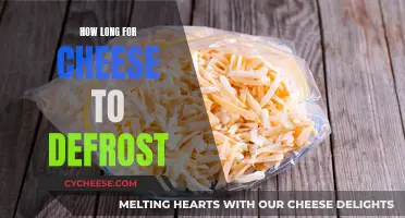 Cheese Defrosting: How Long Does It Really Take?