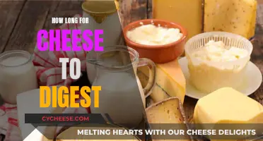 Cheese Digestion: How Long Does It Really Take?