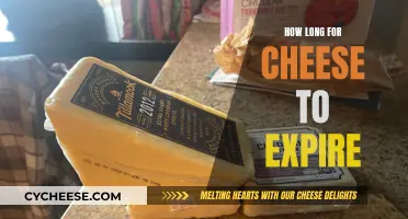 Cheese Expiration: How Long Does it Really Last?