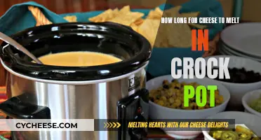 Melting Cheese in a Crock Pot: How Long Does It Take?