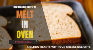 Melting Cheese in the Oven: Time and Temperature Tips