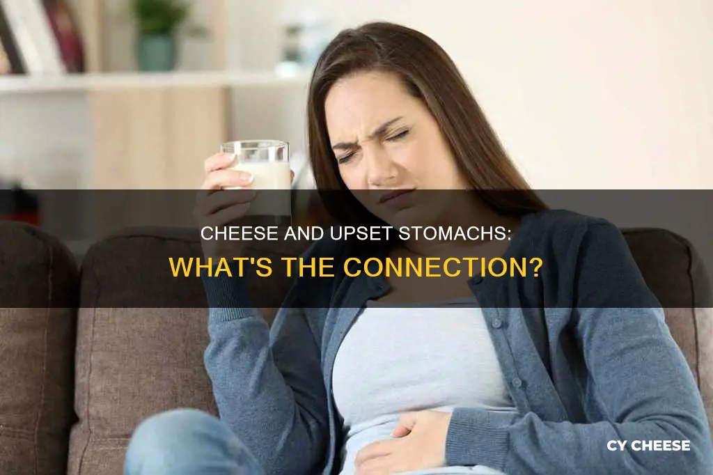 how long for cheese to upset stomach