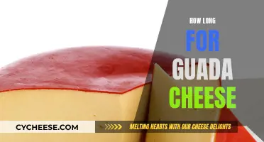 Guada Cheese: How Long Does It Take to Make?