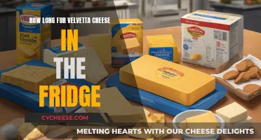 The Velveeta Cheese Fridge Life: How Long Does It Last?