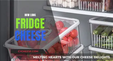 Cheese Storage: How Long in the Fridge?