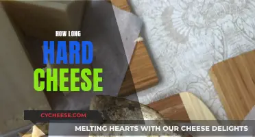 Hard Cheese: How Long Does It Last?