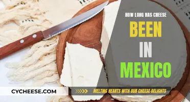 Cheese in Mexico: A Historical Foodie Adventure