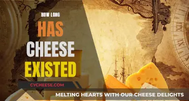 Cheese's Ancient History: How Long Has It Been Around?