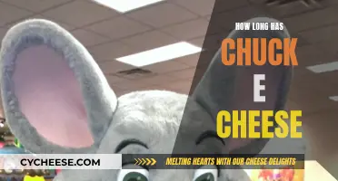 Chuck E. Cheese: A Long-Standing Family Fun Center