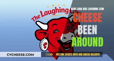 The Laughing Cow Cheese: A Long-Standing Delicious History