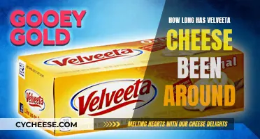 Velveeta Cheese: A Long History of Creamy Deliciousness