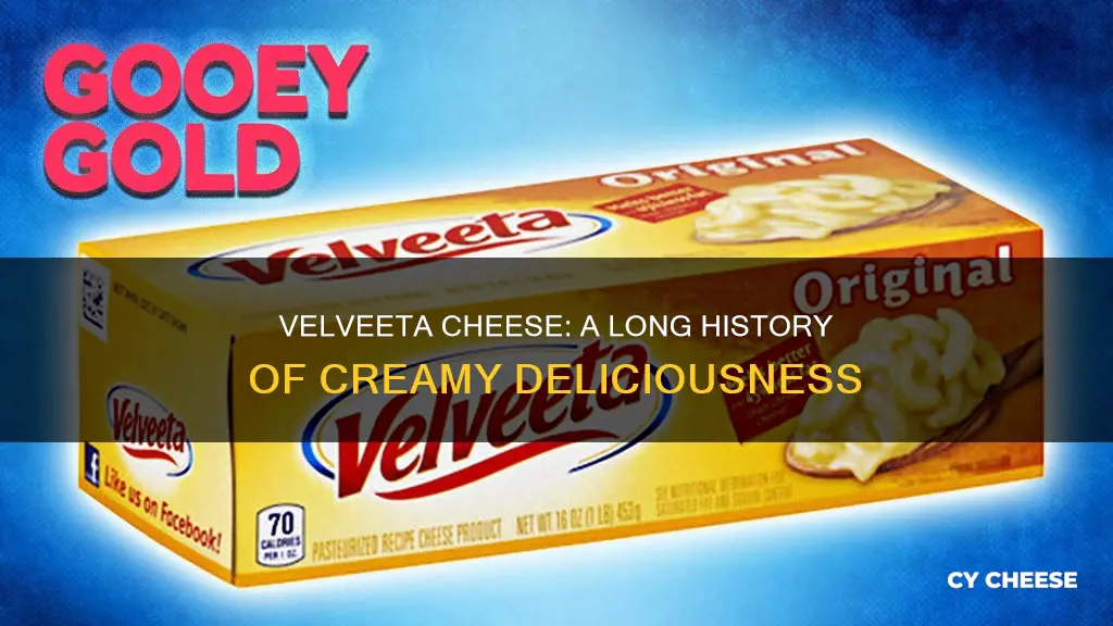 how long has velveeta cheese been around