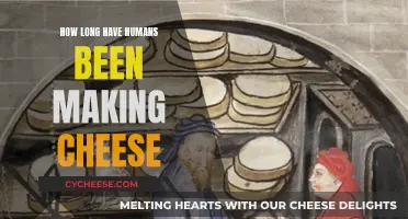 The Ancient Art of Cheese Making