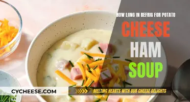 The Perfect Potato, Cheese, and Ham Soup: Refrigeration Time